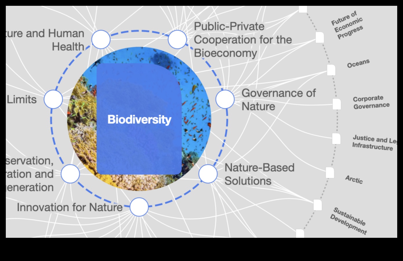 Bogățiile pădurilor tropicale: biodiversitate în peisaje luxuriante