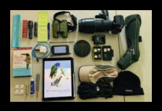 Birdwatcher's Gear 2.0: Echipament esențial pentru o configurație îmbunătățită pentru observarea păsărilor