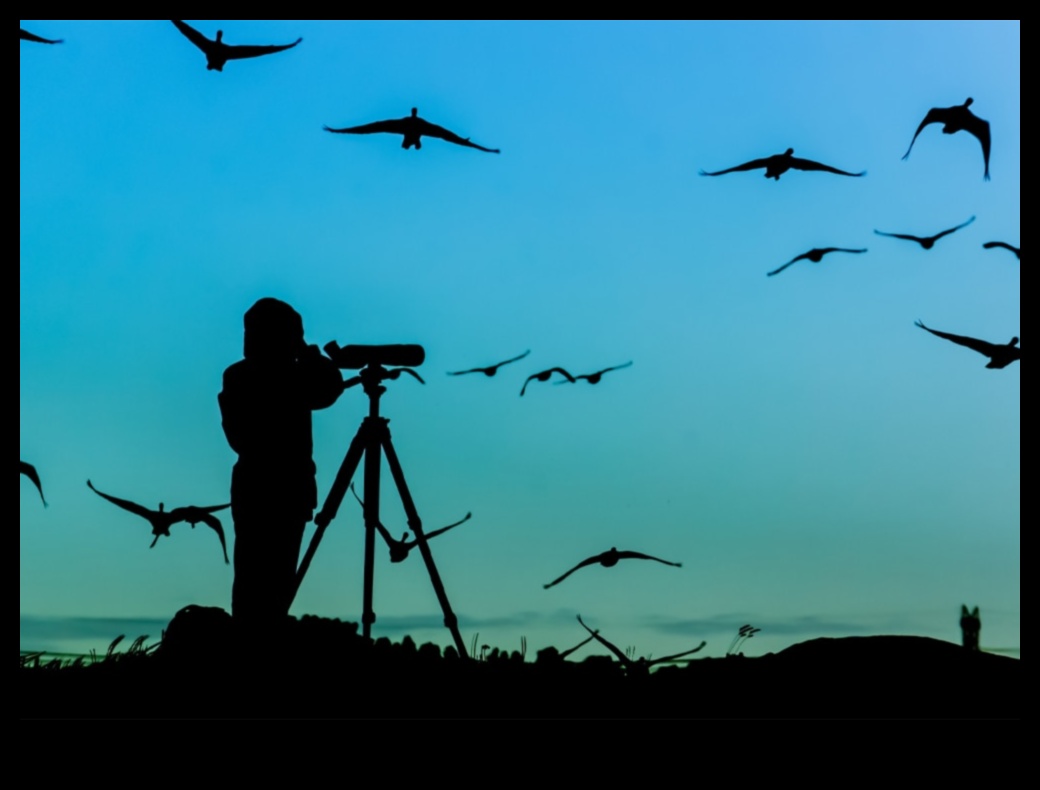 Birdwatcher's Gear 2.0: Echipament esențial pentru o configurație îmbunătățită pentru observarea păsărilor