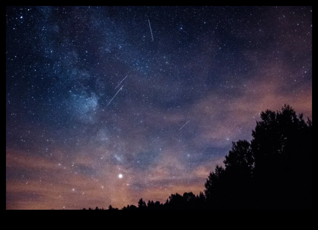 Stele căzătoare: dezlănțuiți creativitatea cu instrumente de fotografie de top