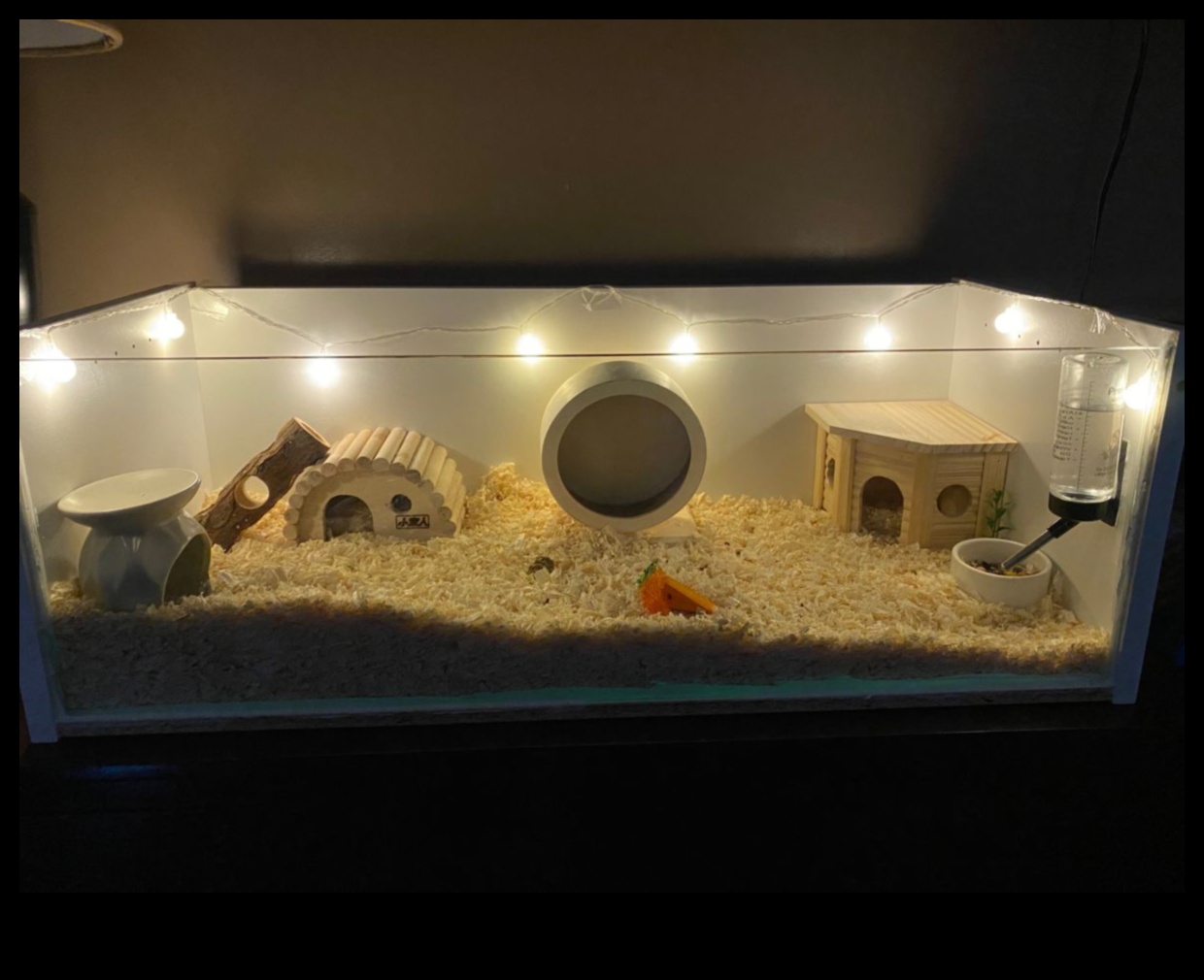 Aesthetic Abodes: Decor elegant cușcă pentru locuințe pentru hamsteri