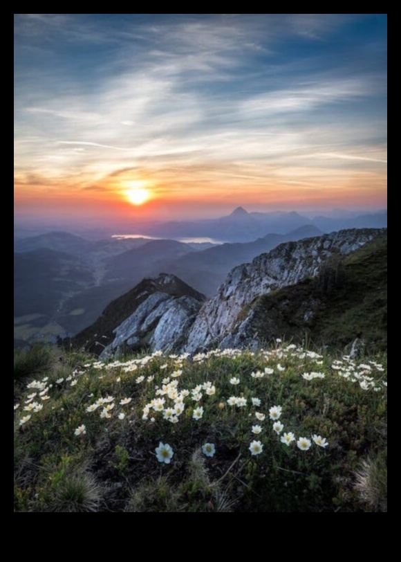 Frumusețe veșnică: peisaje atemporale în fotografii